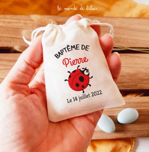 Sac ballotin Coccinelle rouge