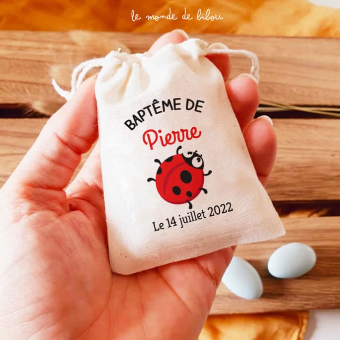 Sac ballotin Coccinelle rouge