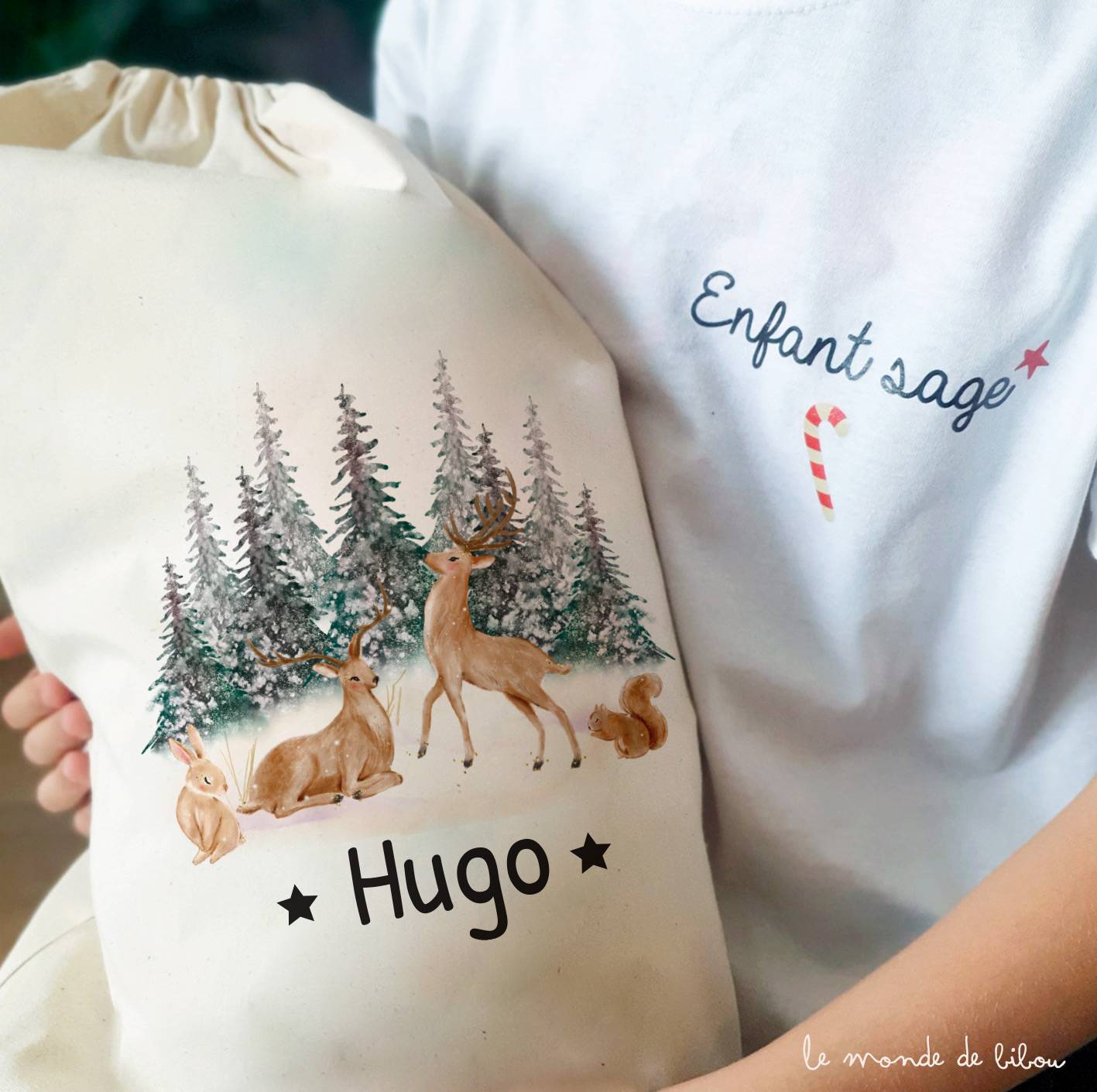 Hotte à cadeaux Cerfs de Noël taille M