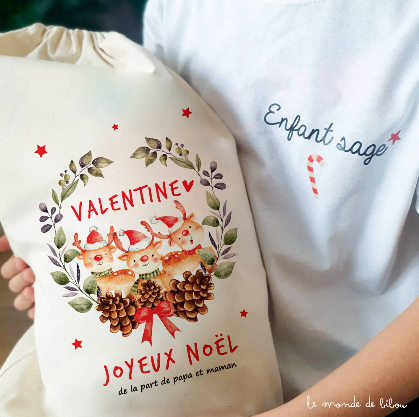 Hotte à cadeaux Rennes de Noël taille M