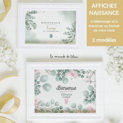 Affiche Bienvenue Naissance à télécharger