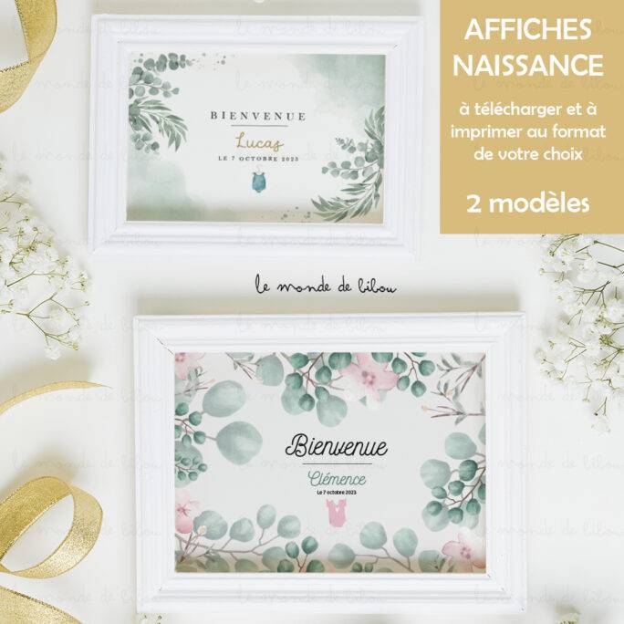 Affiche Bienvenue Naissance à télécharger