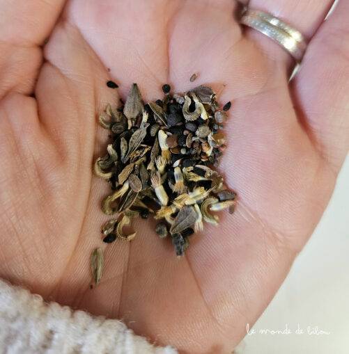 Sachet graines à planter personnalisé Pâques
